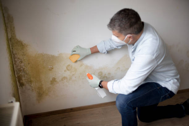 Best Crawl Space Mold Remediation  in North Tunica, MS