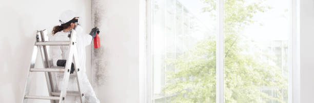 Best Mold-Related Health Consultation  in North Tunica, MS