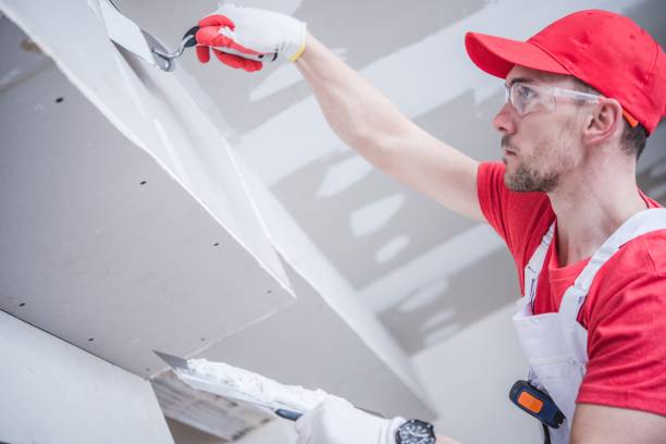 Best Basement Mold Removal  in North Tunica, MS